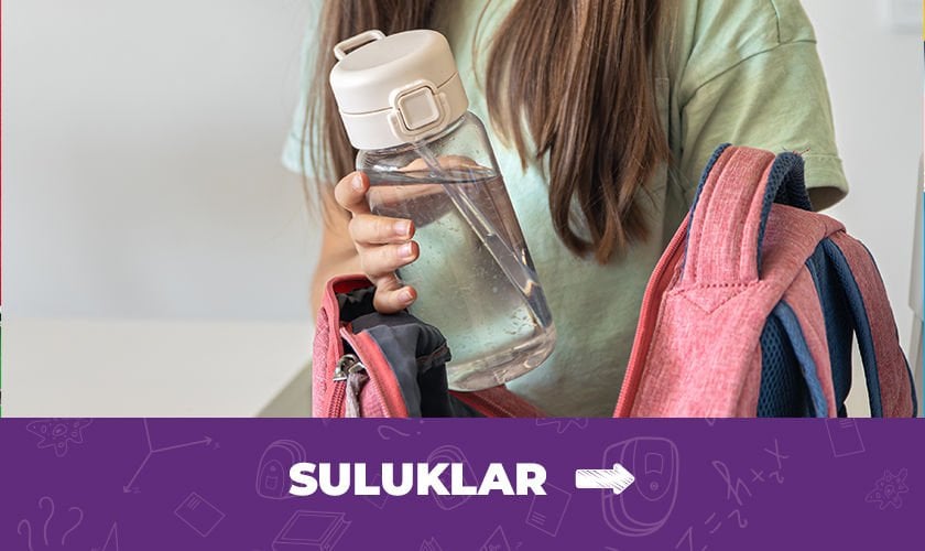 Suluk