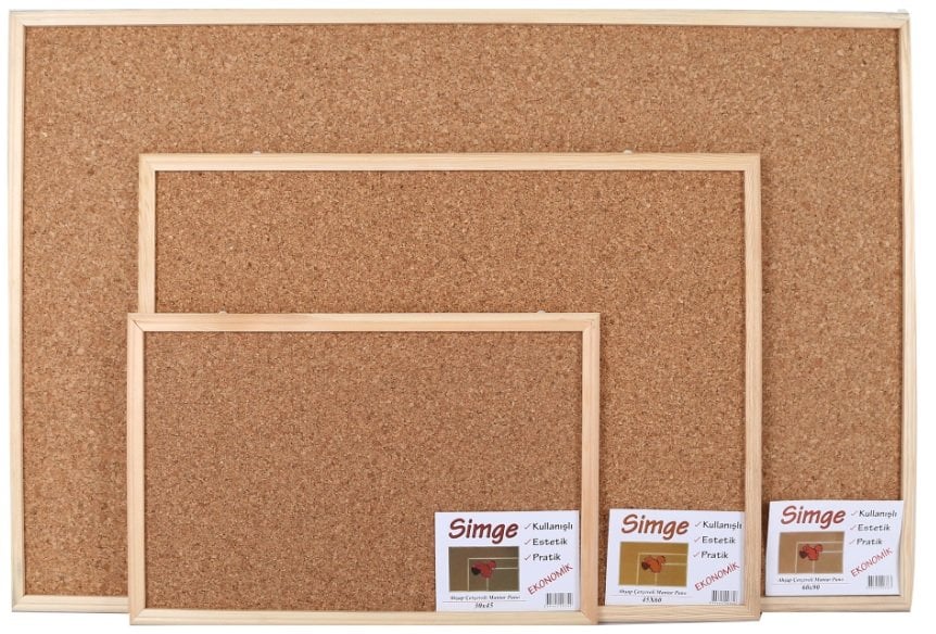 Simge Mantar Pano Ahşap Çerçeve 30x45