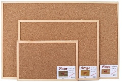 Simge Mantar Pano Ahşap Çerçeve 30x45