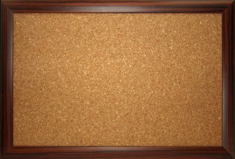 Safari Mantar Pano Ahşap Çerçeve 60x90