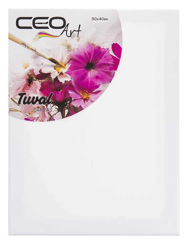 Ceoart Tuval 30x40
