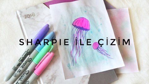 Sharpie Permanent Kalem Seti Fine Uç 30 Renk  Kertenkele