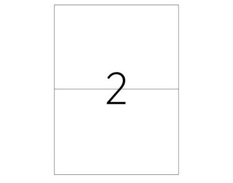 Tanex TW-2402 Laser Etiket 210x143mm