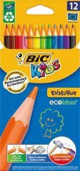 Bic Evolution Kuru Boya 12 Renk