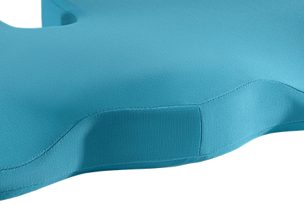 Leitz Cosy Ergo Destek Minderi- Seat Cushion Mavi