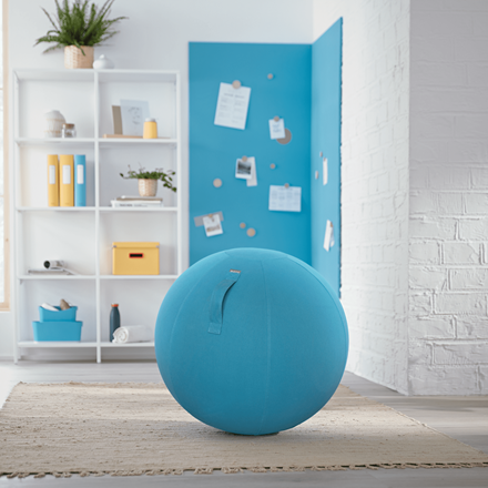Leitz Cosy Ergo Oturma Topu Mavi