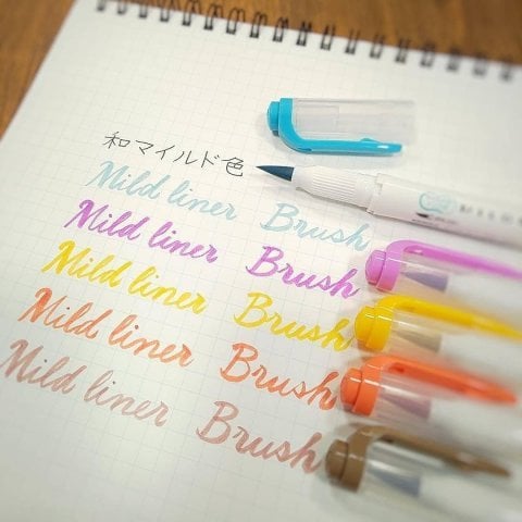 Zebra Mildliner Çift Uçlu Brush Pen 5 Renk WFT8-N-5C
