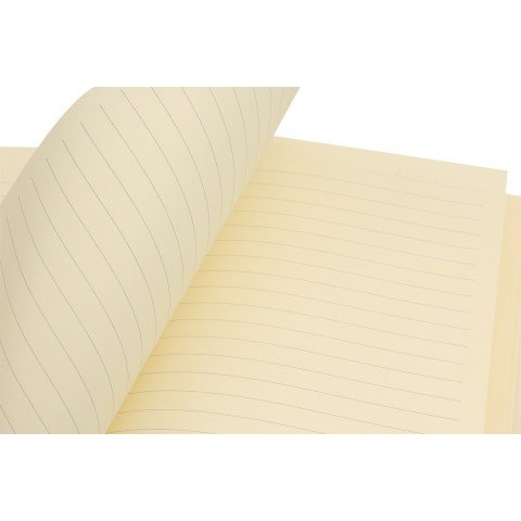 Victoria's Journals 15x21 Flexy Symht Defter 96yp.Çizgili Nar Çiçeği